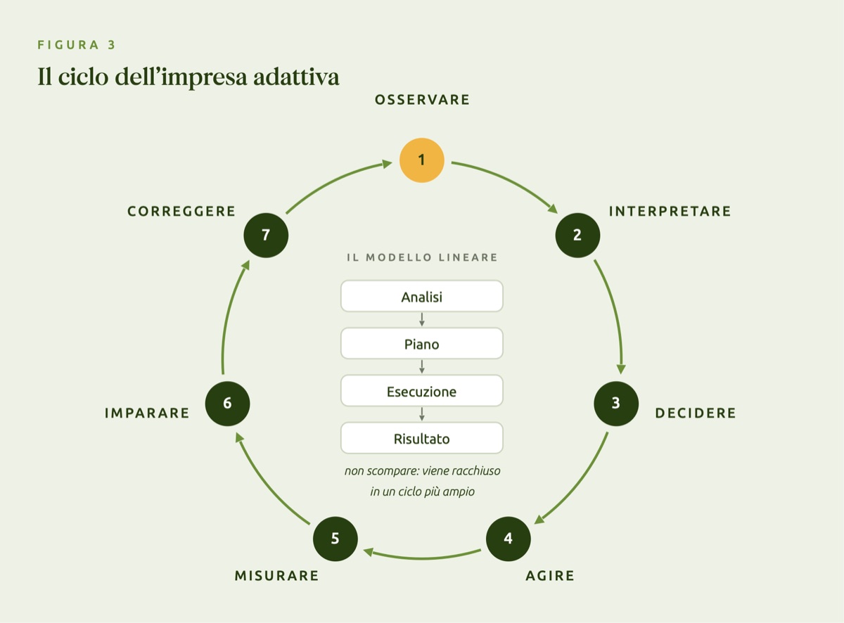 Schema del ciclo dell’impresa adattiva in sette passaggi: osservare, interpretare, decidere, agire, misurare, imparare, correggere; al centro il modello lineare analisi, piano, esecuzione, risultato
